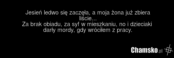Jesień ledwo się zaczęła, a moja żona już zbiera liście... Za brak obiadu, za syf w mieszkaniu, no i dzieciaki darły mordy, gdy wróciłem z pracy.