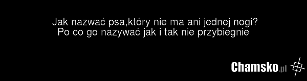 Jak nazwać psa,który nie ma ani jednej nogi? Po co go nazywać jak i tak nie przybiegnie