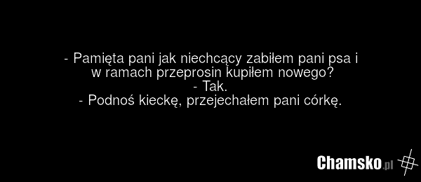 - Pamięta pani jak niechcący zabiłem pani psa i w ramach przeprosin kupiłem nowego? - Tak. - Podnoś kieckę, przejechałem pani córkę.