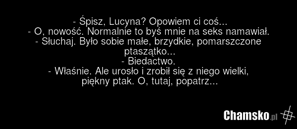 - Śpisz, Lucyna? Opowiem ci coś... - O, nowość. Normalnie to byś mnie na seks namawiał. - Słuchaj. Było sobie małe, brzydkie, pomarszczone ptaszątko... - Biedactwo. - Właśnie. Ale urosło i zrobił się z niego wielki, piękny ptak. O, tutaj, popatrz...