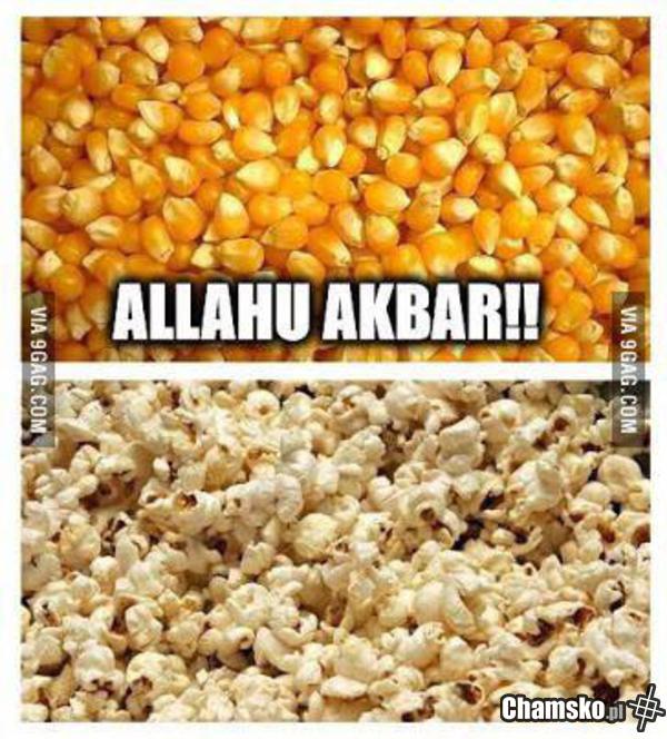 Allah Akbar!