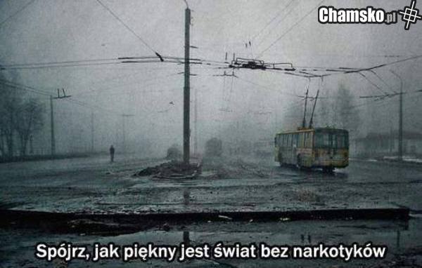 świat
