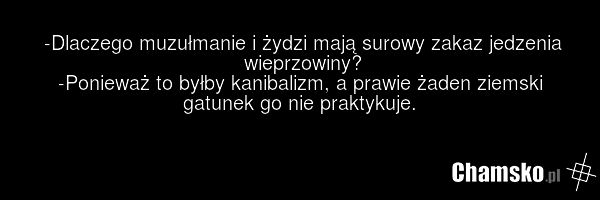 -Dlaczego muzułmanie i żydzi mają surowy zakaz jedzenia wieprzowiny? -Ponieważ to byłby kanibalizm, a prawie żaden ziemski gatunek go nie praktykuje.