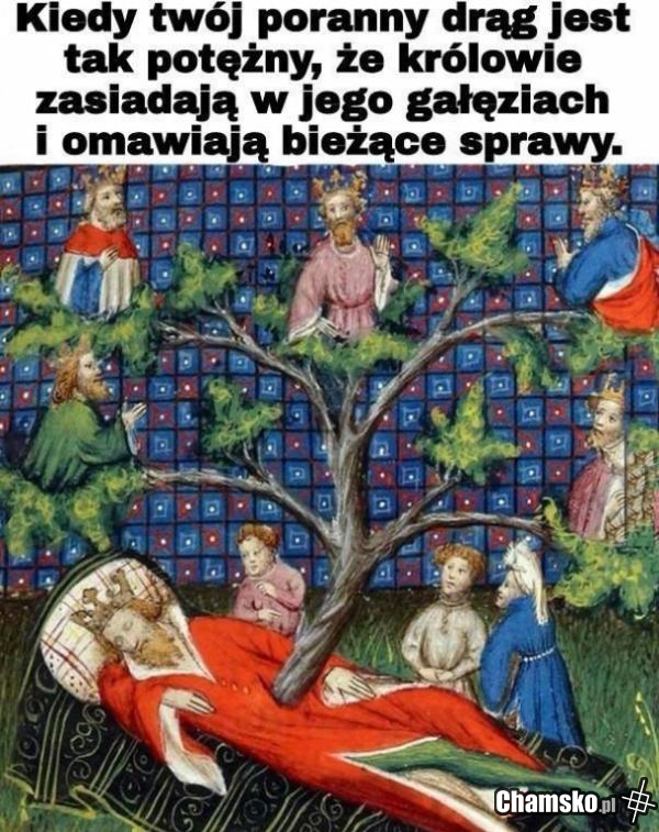 Poranny drąg