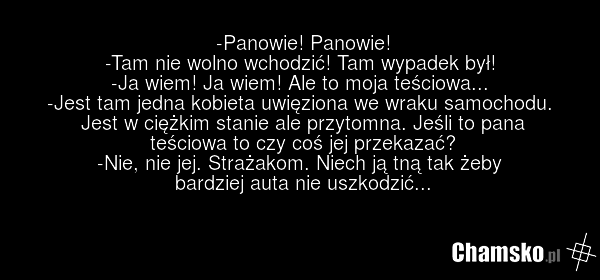 -Panowie! Panowie! -Tam nie wolno wchodzić! Tam wypadek był! -Ja wiem! Ja wiem! Ale to moja teściowa... -Jest tam jedna kobieta uwięziona we wraku samochodu. Jest w ciężkim stanie ale przytomna. Jeśli to pana teściowa to czy coś jej przekazać? -Nie, nie jej. Strażakom. Niech ją tną tak żeby bardzie…