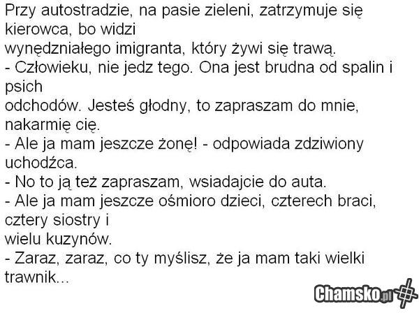 Uczynny kierowca