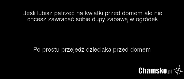 Jeśli lubisz patrzeć na kwiatki przed domem ale nie chcesz zawracać sobie dupy zabawą w ogródek Po prostu przejedź dzieciaka przed domem