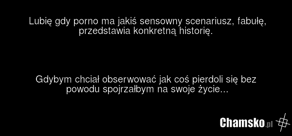 Lubię gdy porno ma jakiś sensowny scenariusz, fabułę, przedstawia konkretną historię. Gdybym chciał obserwować jak coś pierdoli się bez powodu spojrzałbym na swoje życie...