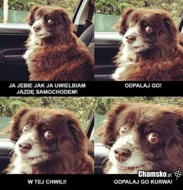 Jazda autem