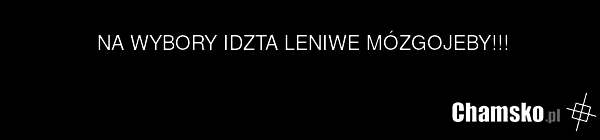 NA WYBORY IDZTA LENIWE MÓZGOJEBY!!!