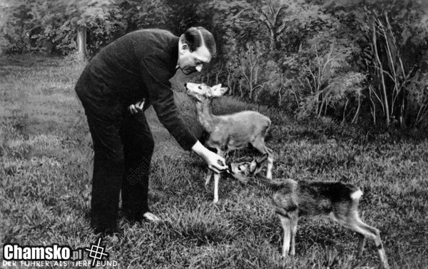 Hitler z sarenkami