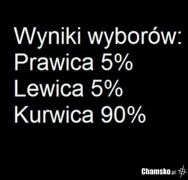 Wyniki wyborów
