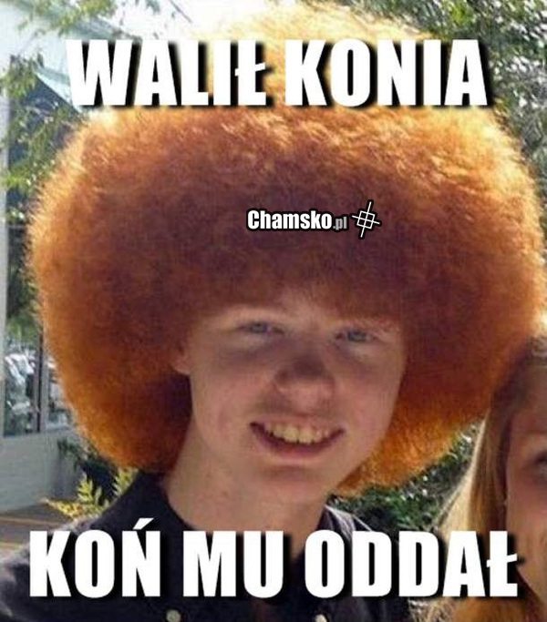 Walikonik :D
