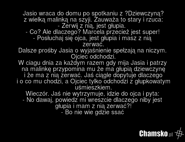 Jasio wraca do domu po spotkaniu z ‪Dziewczyną‬ z wielką malinką na szyji. Zauważa to stary i rzuca: - Zerwij z nią, jest głupia. - Co? Ale dlaczego? Marcela przecież jest super! - Posłuchaj się ojca, jest głupia i masz z nią zerwać. Dalsze prośby Jasia o wyjaśnienie spełzają na niczym. Ojciec odch…