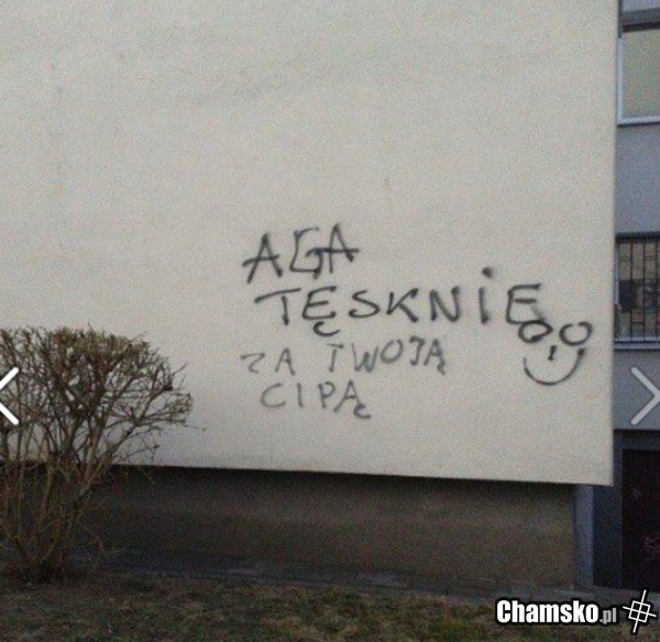 Tęsknota