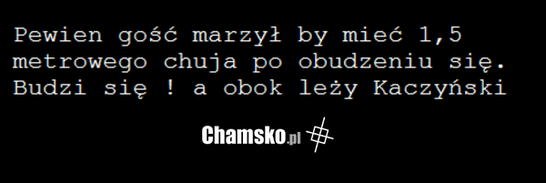 Chujjjj :)