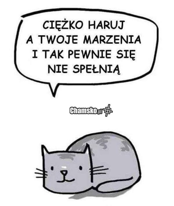 ku przypomnieniu
