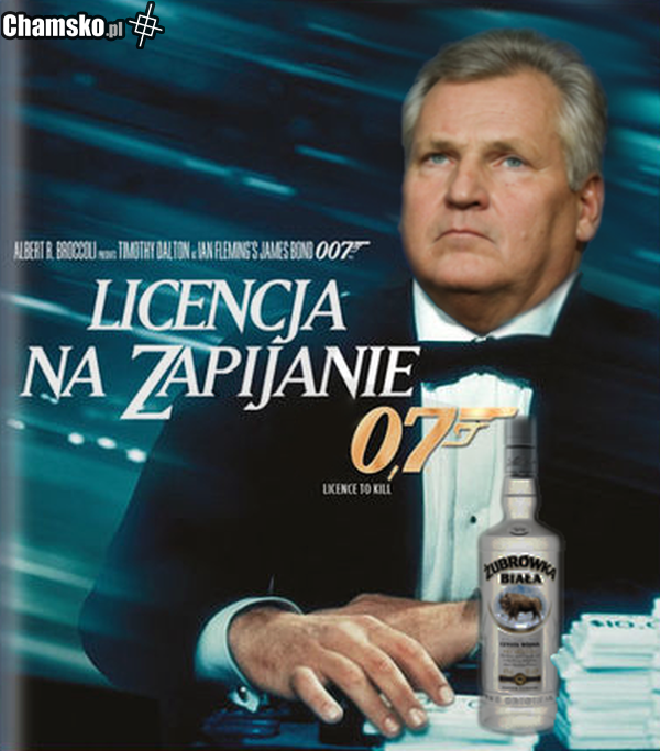 licencja