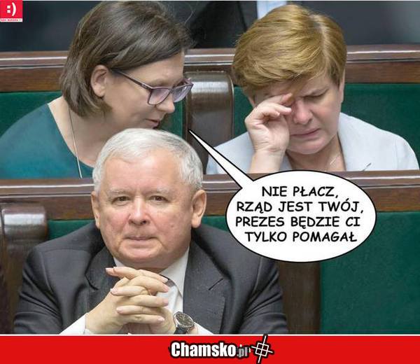 Rząd