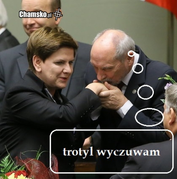 "Cywil" na służbie