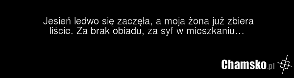 Jesień ledwo się zaczęła, a moja żona już zbiera liście. Za brak obiadu, za syf w mieszkaniu…