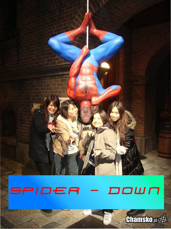 SpiderDown