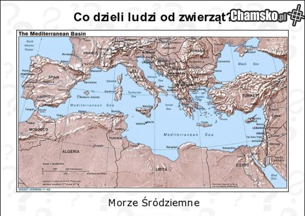 Co dzieli ludzi od zwierząt?