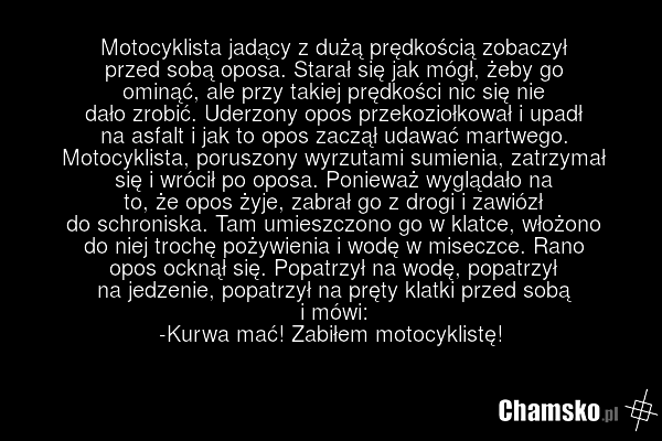Motocyklista jadący z dużą prędkością zobaczył przed sobą oposa. Starał się jak mógł, żeby go ominąć, ale przy takiej prędkości nic się nie dało zrobić. Uderzony opos przekoziołkował i upadł na asfalt i jak to opos zaczął udawać martwego. Motocyklista, poruszony wyrzutami sumienia, zatrzymał się i…
