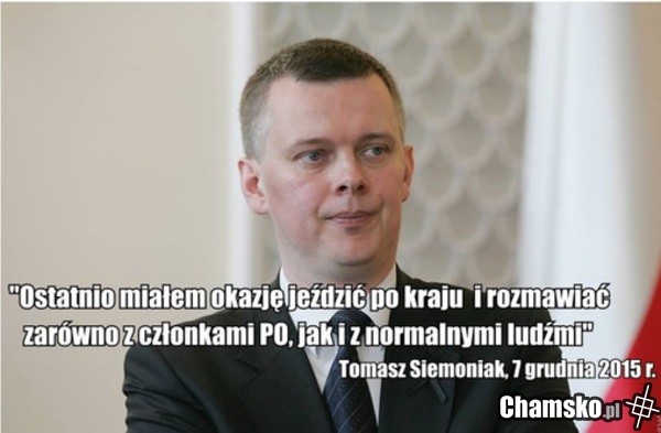 Cytat roku