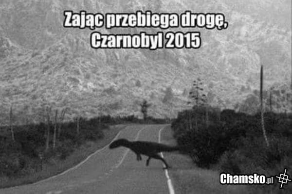 Czarnobyl