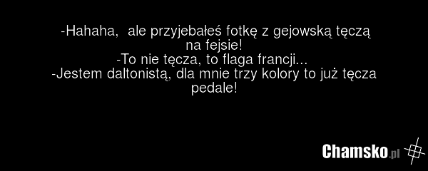 -Hahaha, ale przyjebałeś fotkę z gejowską tęczą na fejsie! -To nie tęcza, to flaga francji... -Jestem daltonistą, dla mnie trzy kolory to już tęcza pedale!