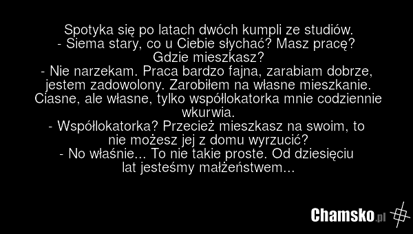 Spotyka się po latach dwóch kumpli ze studiów. - Siema stary, co u Ciebie słychać? Masz pracę? Gdzie mieszkasz? - Nie narzekam. Praca bardzo fajna, zarabiam dobrze, jestem zadowolony. Zarobiłem na własne mieszkanie. Ciasne, ale własne, tylko współlokatorka mnie codziennie wkurwia. - Współlokatorka?…