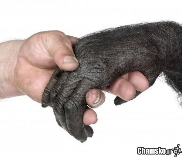 Say no to racism