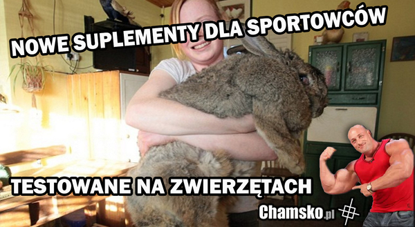 Nowe suplementy diety