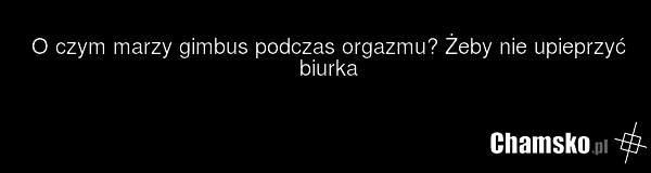 O czym marzy gimbus podczas orgazmu? Żeby nie upieprzyć biurka