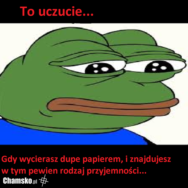 Sranie