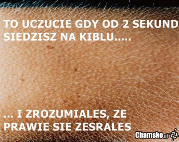 UCZUCIE