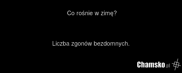 Co rośnie w zimę? Liczba zgonów bezdomnych.