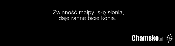 Zwinność małpy, siłę słonia, daje ranne bicie konia.