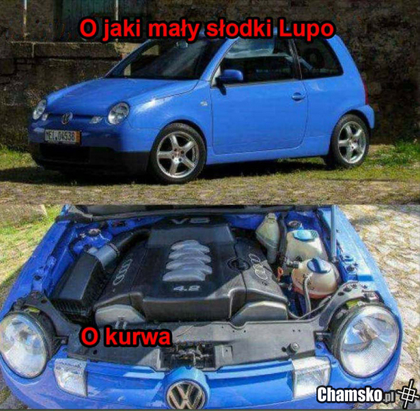 Ljupcio