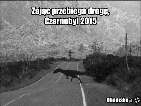 zajączek