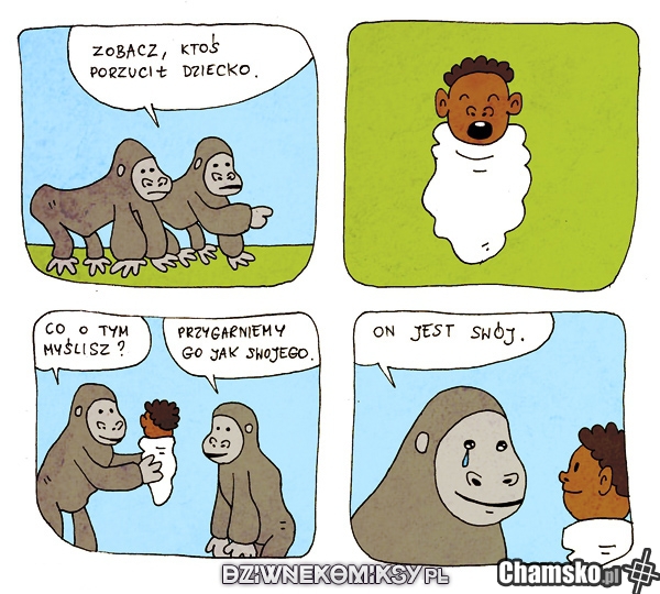 Przygarnęli jak swojego