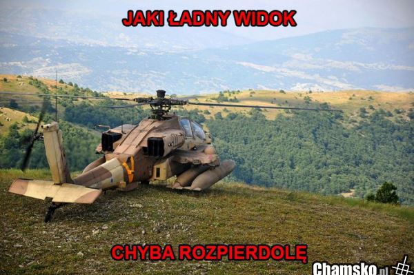 widok