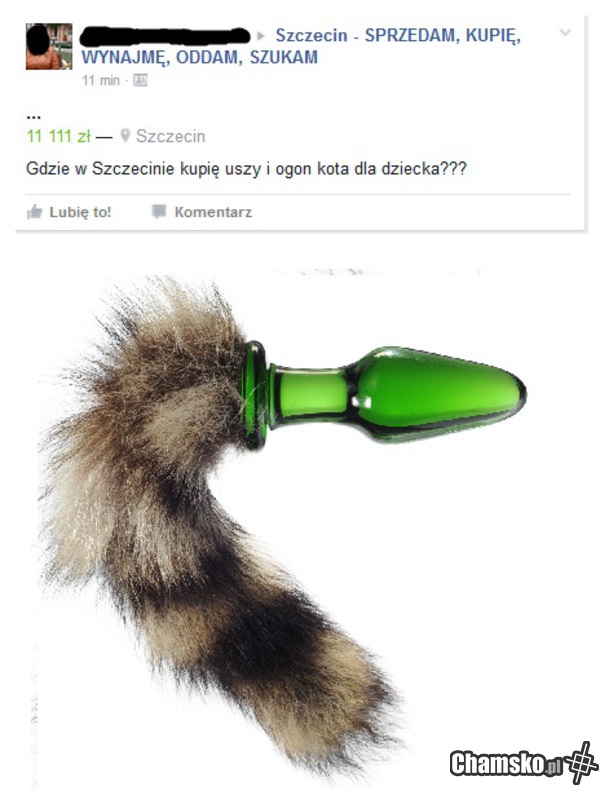Ogon dla dziecka