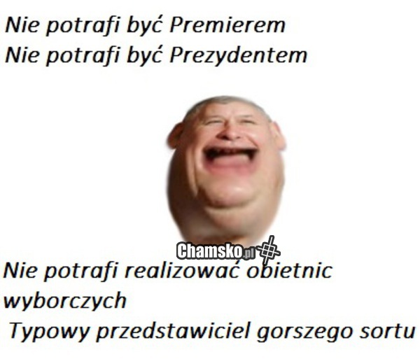 tam gdzie zomo