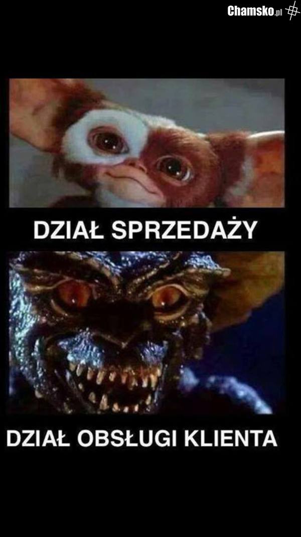 obsługa klienta