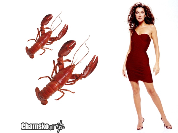 Celine Dion Double Carcinoma Fatality