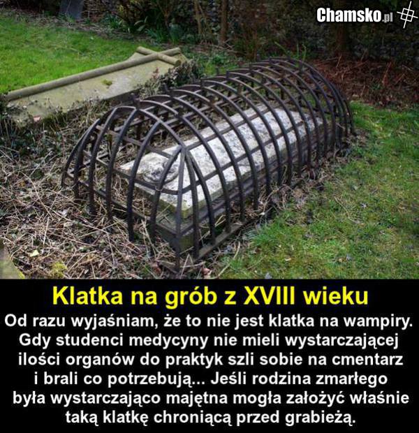 co te studenty?