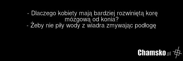 - Dlaczego kobiety mają bardziej rozwiniętą korę mózgową od konia? - Żeby nie piły wody z wiadra zmywając podłogę