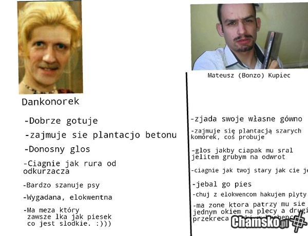 Dankonorek vs Tigerbonzo